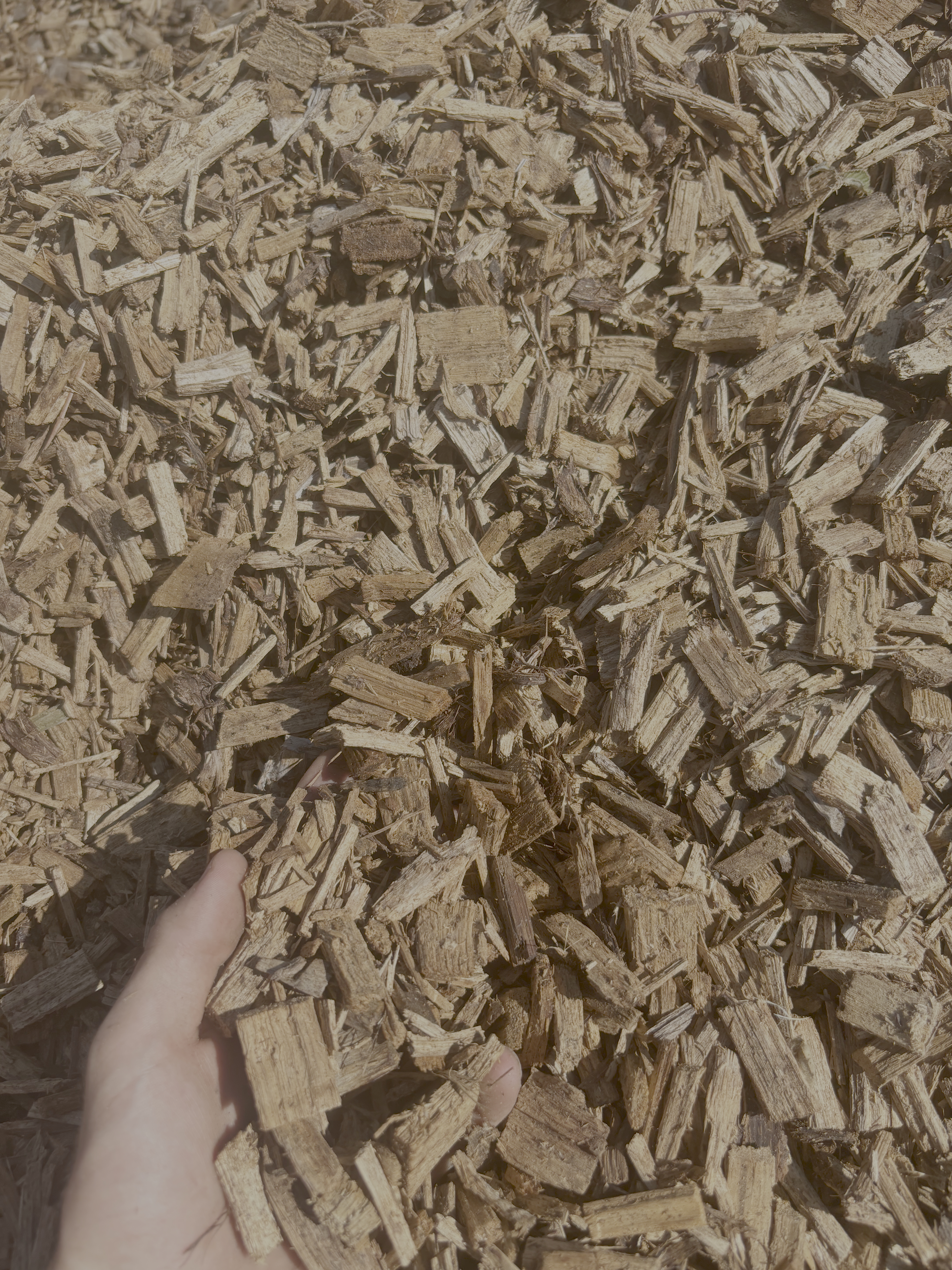 Paillage bois en vrac Le Monde du Bois près de Vannes